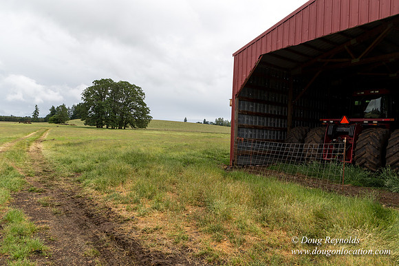 Gens Farm-4569