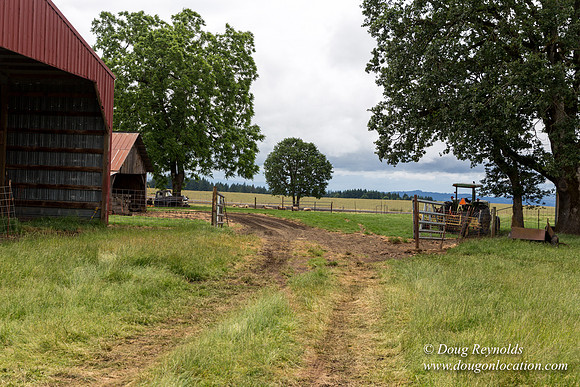 Gens Farm-4574