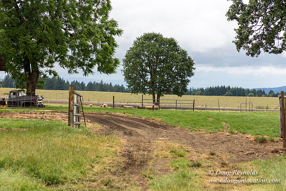 Gens Farm-4575
