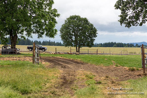 Gens Farm-4576