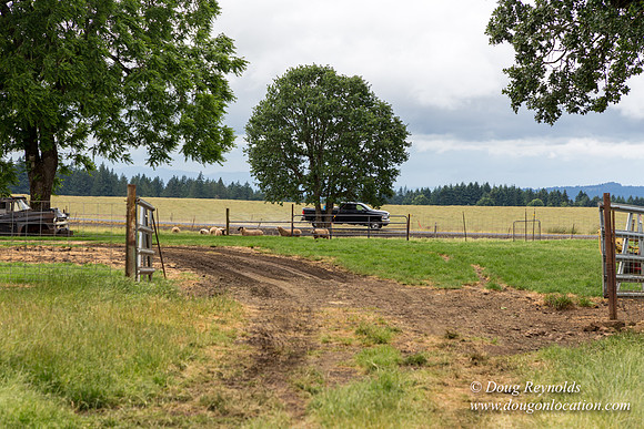 Gens Farm-4577