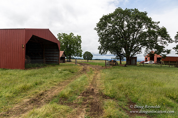 Gens Farm-4579