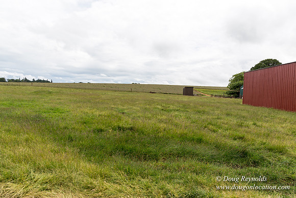 Gens Farm-4581
