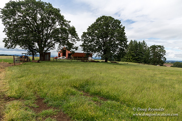 Gens Farm-4585