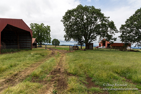 Gens Farm-4584