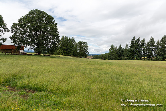 Gens Farm-4586