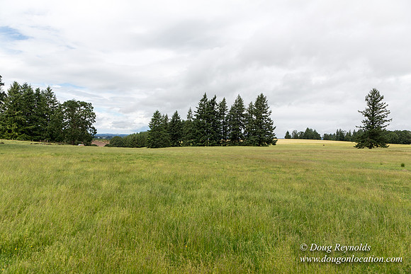 Gens Farm-4587