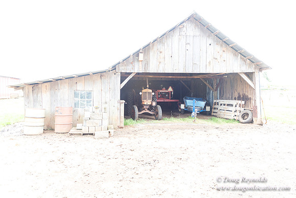 Gens Farm-4590