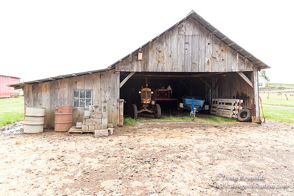 Gens Farm-4591