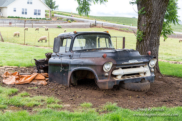Gens Farm-4592