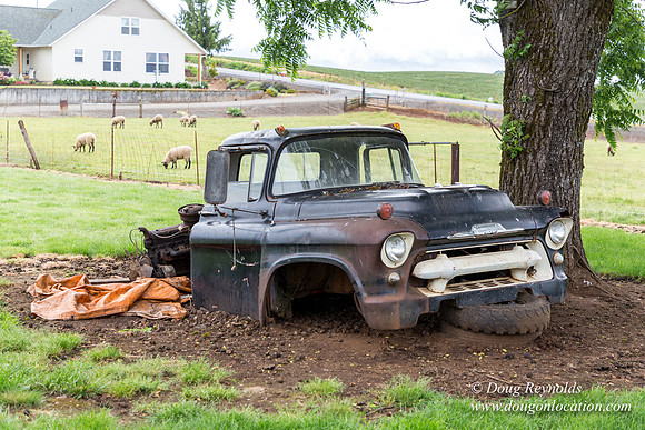 Gens Farm-4593