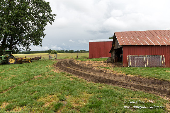 Gens Farm-4595