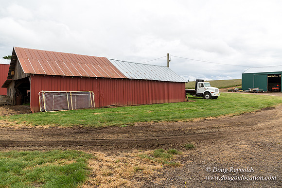 Gens Farm-4596