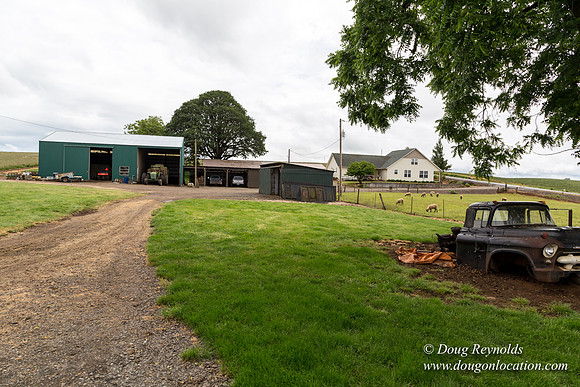 Gens Farm-4598