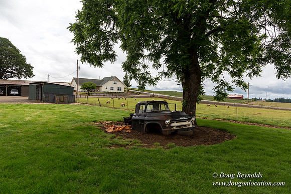 Gens Farm-4599
