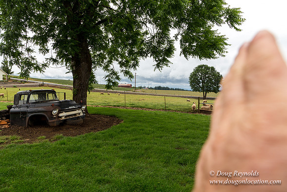 Gens Farm-4601