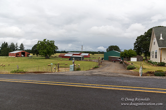 Gens Farm-4606