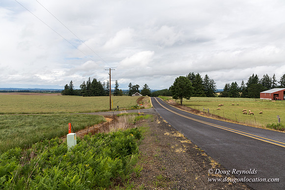 Gens Farm-4609