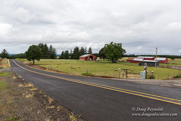 Gens Farm-4610