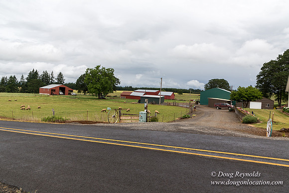 Gens Farm-4611