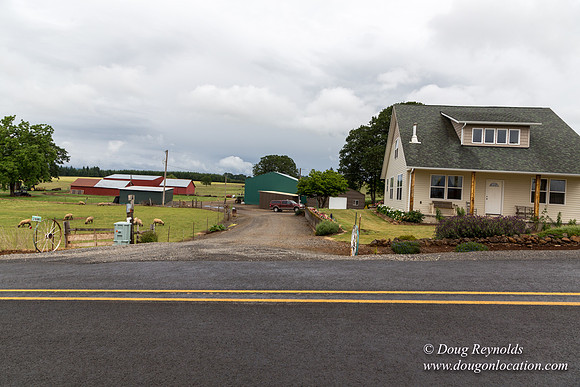 Gens Farm-4612