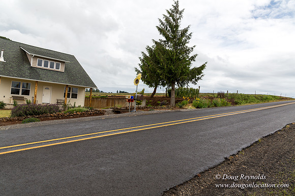 Gens Farm-4614