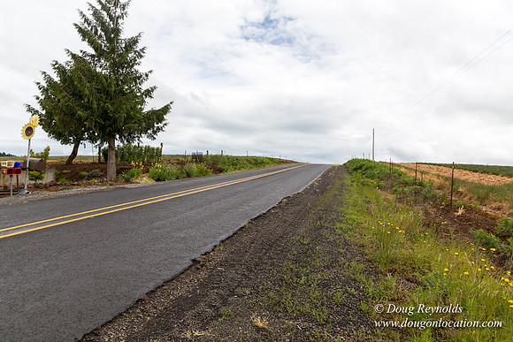 Gens Farm-4615