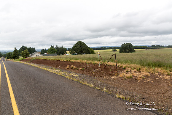Gens Farm-4659