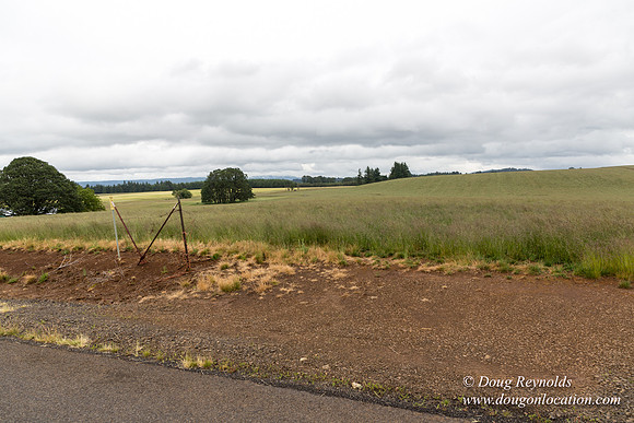 Gens Farm-4660