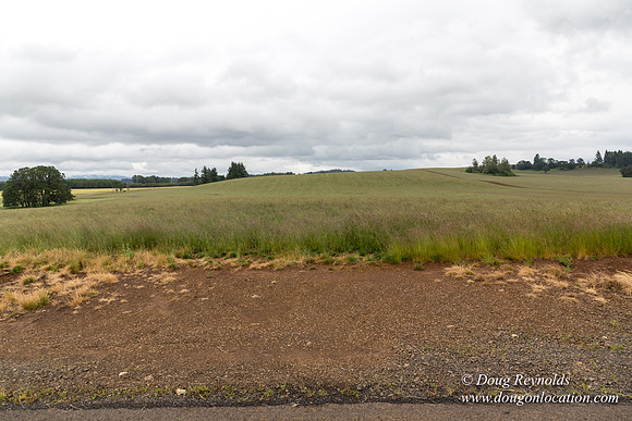 Gens Farm-4661