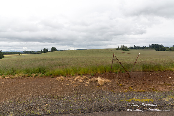 Gens Farm-4669