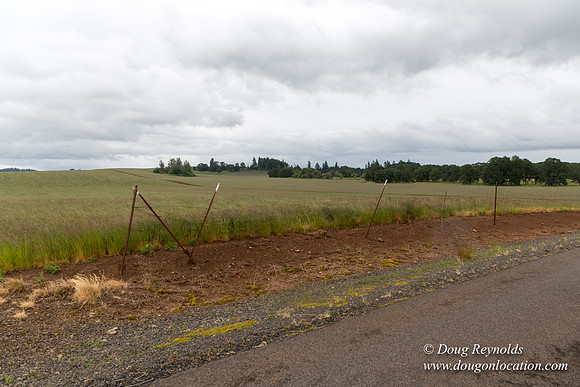 Gens Farm-4670