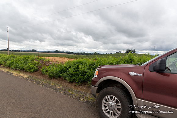 Gens Farm-4673