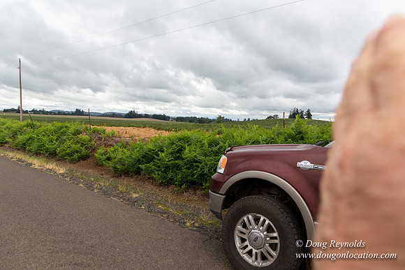 Gens Farm-4674