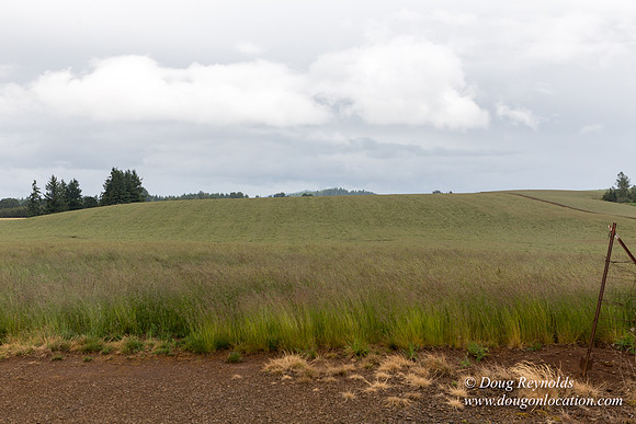 Gens Farm-4677