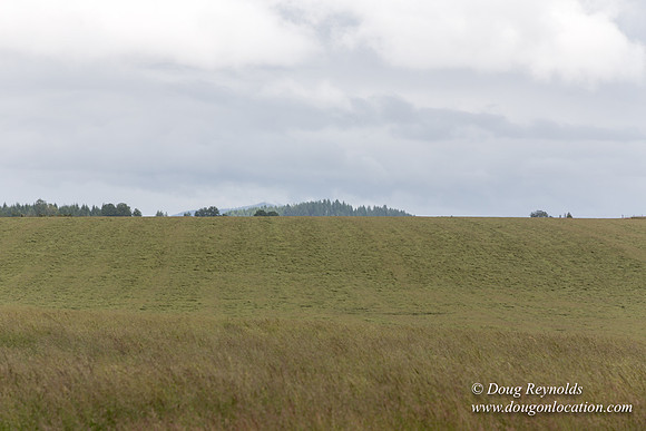 Gens Farm-4678