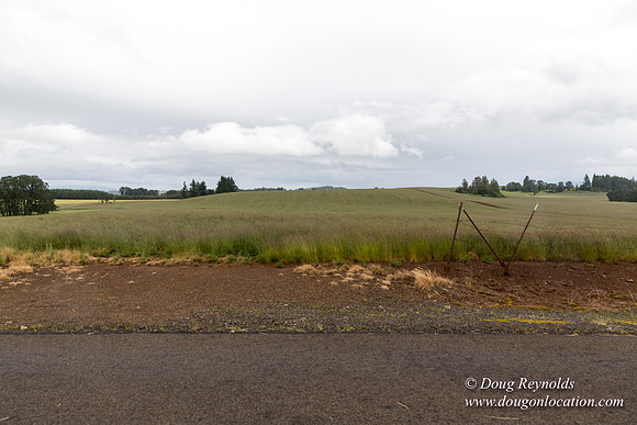 Gens Farm-4679