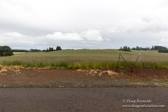 Gens Farm-4680