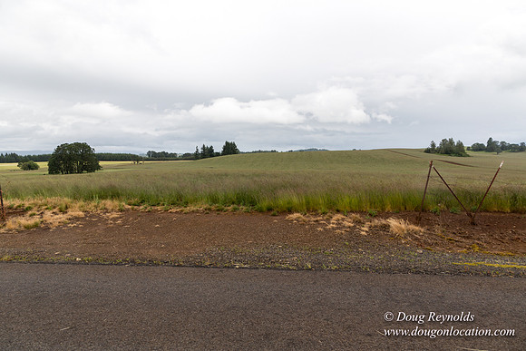 Gens Farm-4684