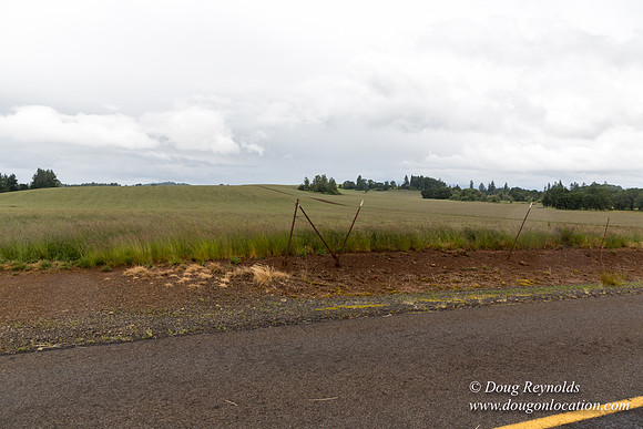 Gens Farm-4685