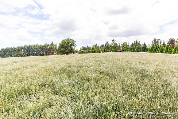 D & D Grass Seed