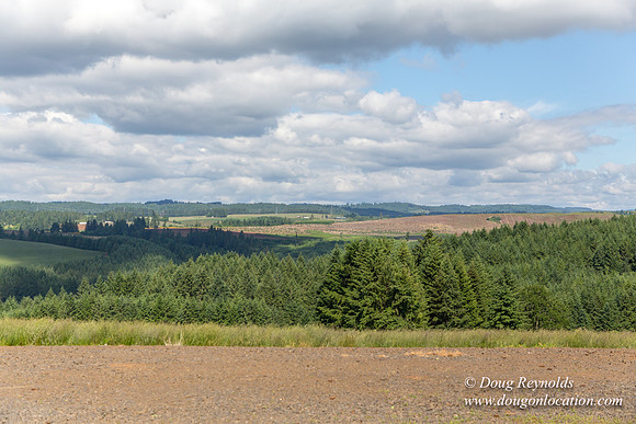Victor Point Rd & Ranch