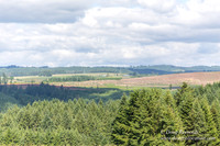 Victor Point Rd & Ranch