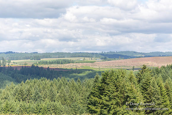 Victor Point Rd & Ranch