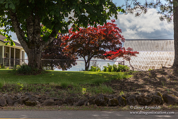 Victor Point Rd & Ranch