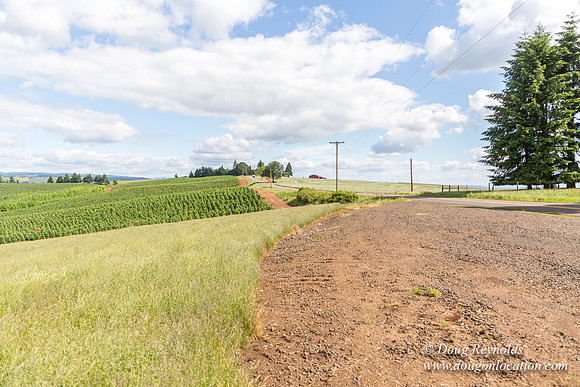Victor Point Rd & Ranch