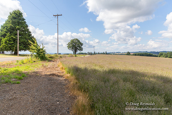 Victor Point Rd & Ranch