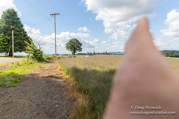Victor Point Rd & Ranch
