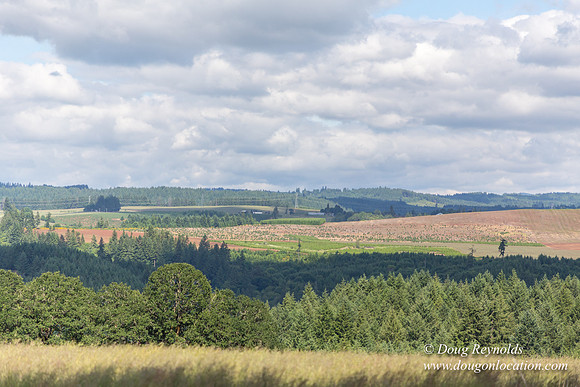 Victor Point Rd & Ranch