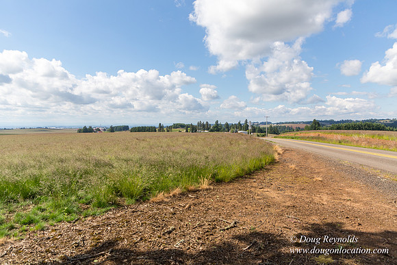 Victor Point Rd & Ranch